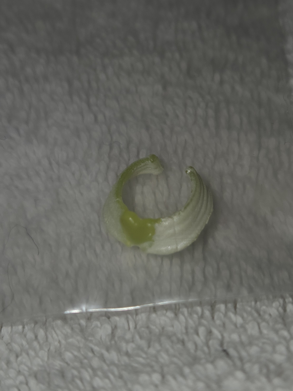 Mattel Monster High White and Lime Green Doll Accessory